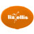 Promotional_items_16132_orange