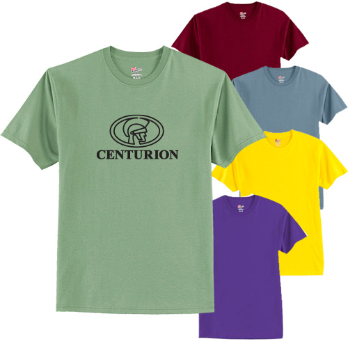 16615C - Hanes® Authentic 100% Cotton T-Shirt (Color)