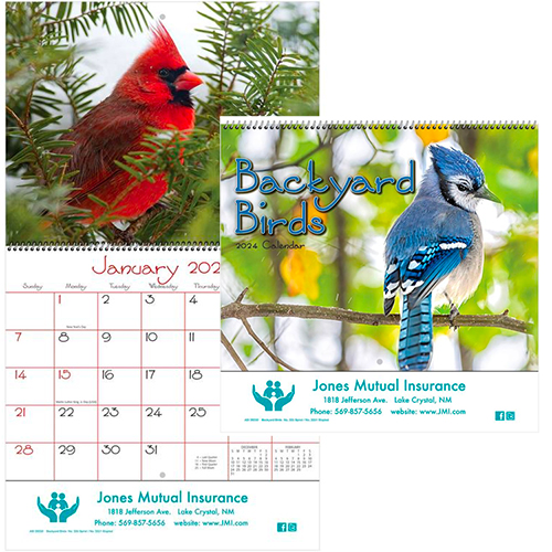 29125 - Backyard Birds Wall Calendar - Spiral
