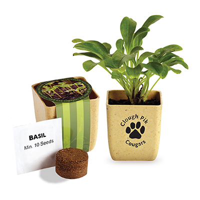 36052 - Flower Pot Set With Basil Seeds