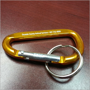 carabiner key clip