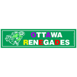 Car Sign Bumper Magnet