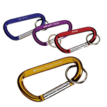 Carabiner with Ring