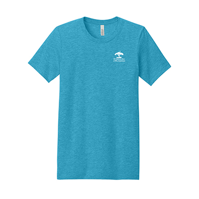 Bella + Canvas Adult Tee*