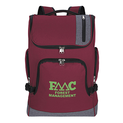 Edgewood Computer Backpack