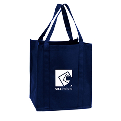 Grocery Shopping Tote