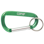Carabiner Key Ring