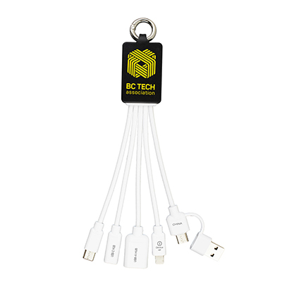 Charging Cable With 2 Port USB Hub
