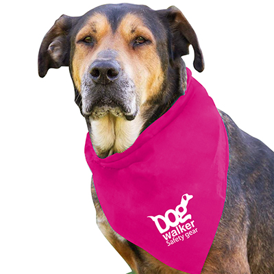 Garyline® Large Triangle Doggie Bandana